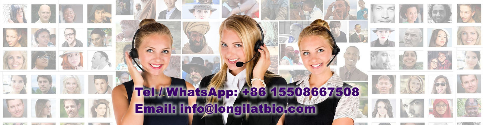 ποιότητας Gs-441524 εργοστάσιο