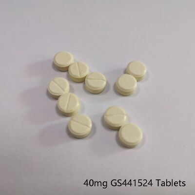 Veterinary GS-441524 Δισκία 40 mg για Cat FIP ​​Υποστήριξη Στοματική Αντιική Φόρμουλα Σταθερή Ημερήσια Χορήγηση