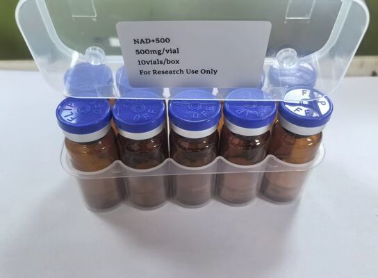 Υψηλής καθαρότητας NAD+ Λυοφιλιωμένα φιαλίδια 500mg NAD ενέσιμη σκόνη για ενέργεια και υποστήριξη κατά της γήρανσης