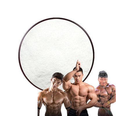 Δοκιμή 99,5% Ligandrol lgd-4033 σκόνη 1165910-22-4 Sarms για Bodybuilding