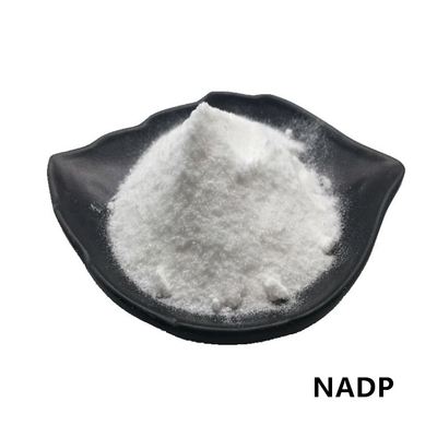 Nicotinamide σκονών 99% CAS 1184-16-3 NADP βήτα Dinucleotide αδενίνης φωσφορικό άλας