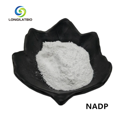 NADPH+ Dinucleotide αδενίνης βήτα-Nicotinamide σκονών φωσφορικό άλας